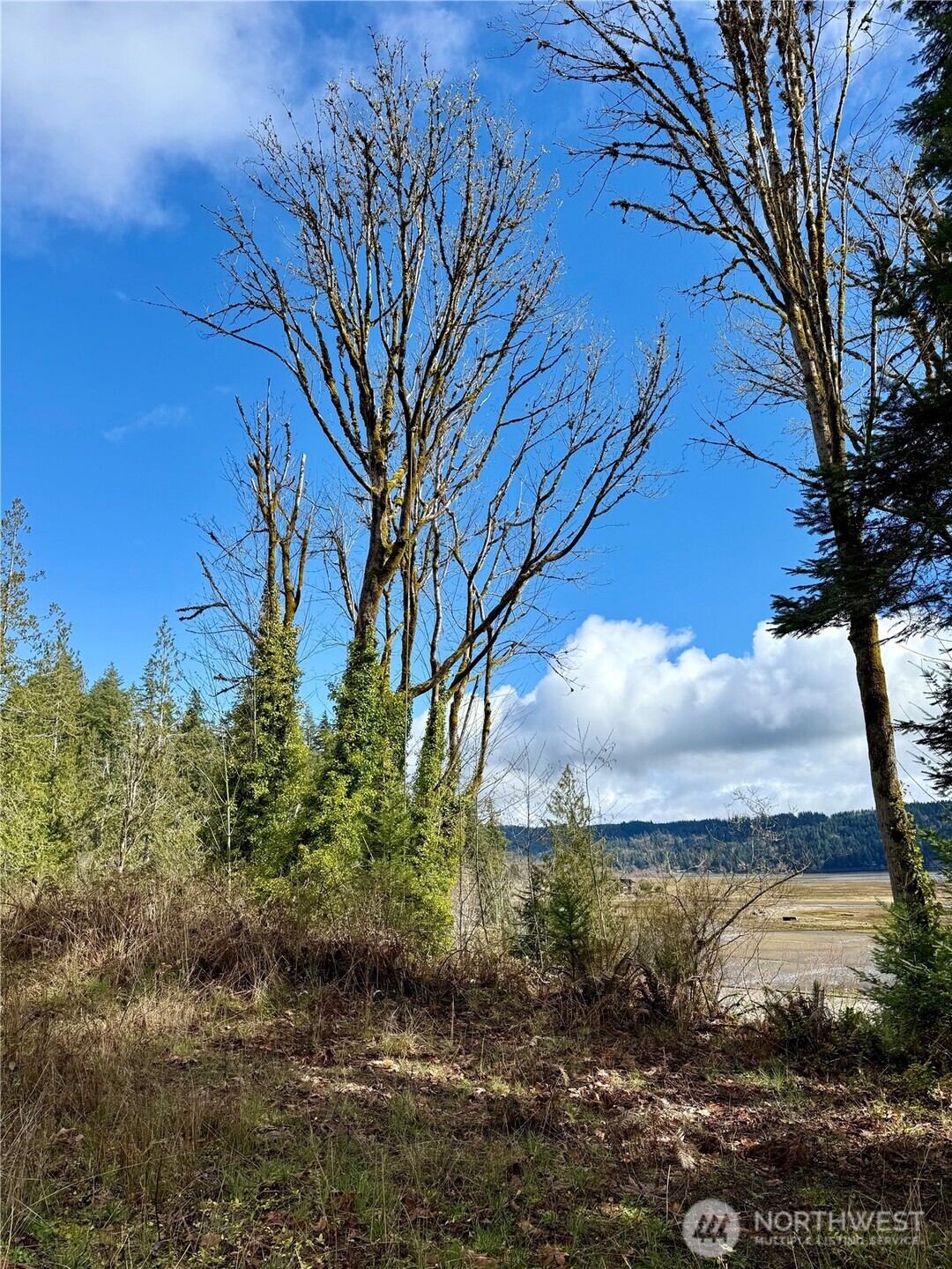 1080 Linger Longer Road , Quilcene, WA 98376