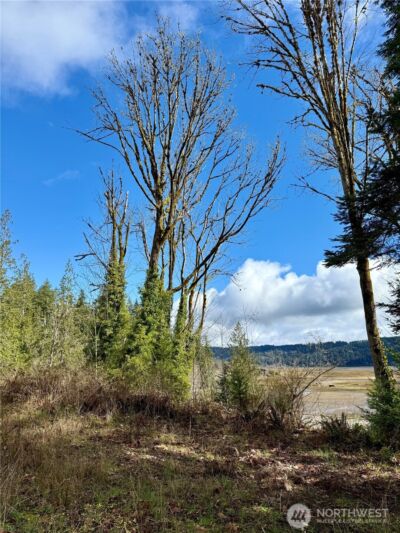 1080 Linger Longer Road , Quilcene, WA 98376 - Photo 22