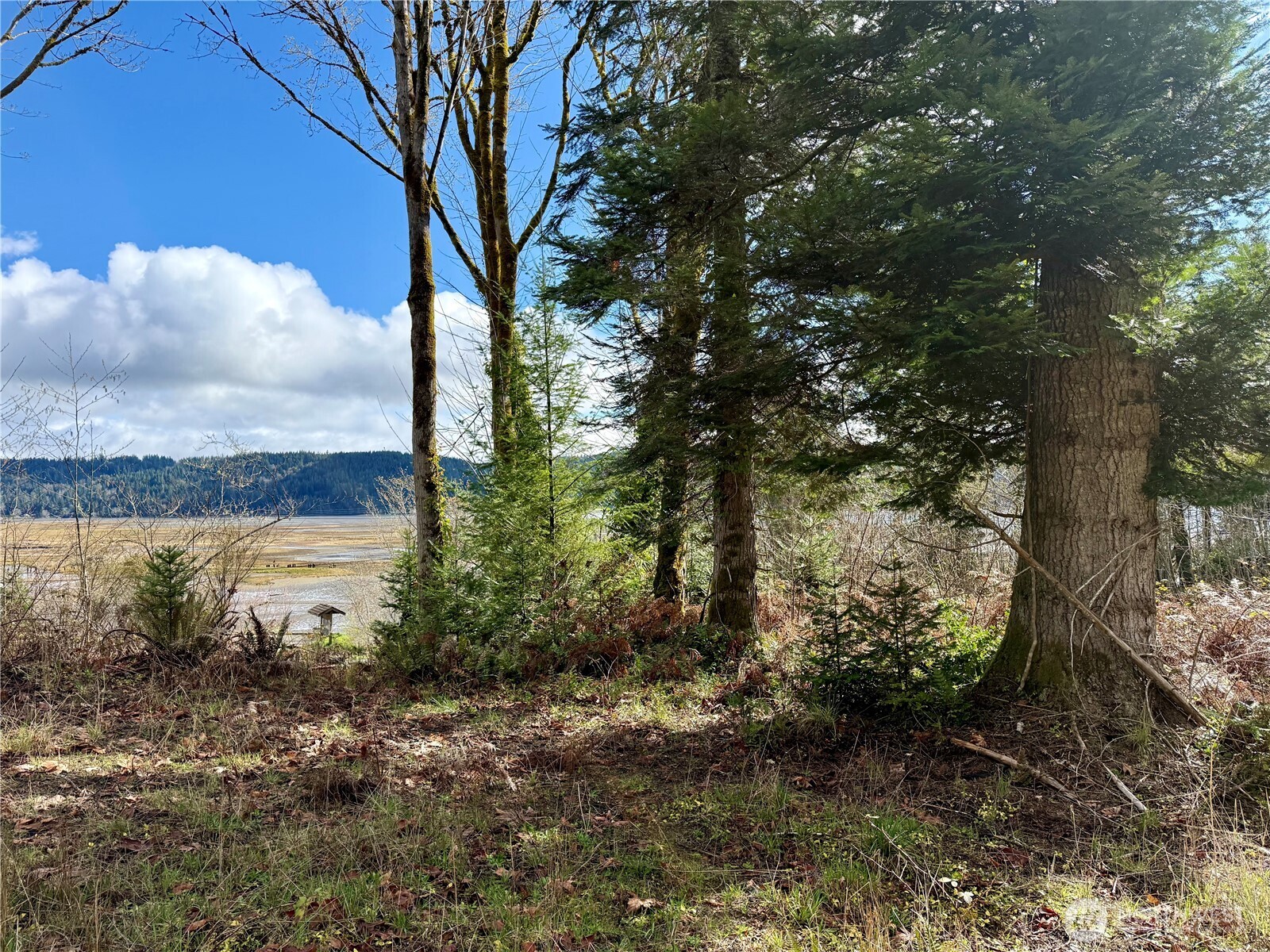 1080 Linger Longer Road , Quilcene, WA 98376