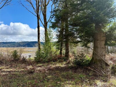 1080 Linger Longer Road , Quilcene, WA 98376 - Photo 23