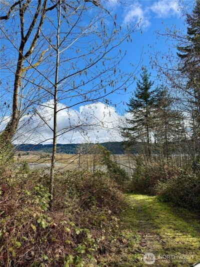 1080 Linger Longer Road , Quilcene, WA 98376 - Photo 24