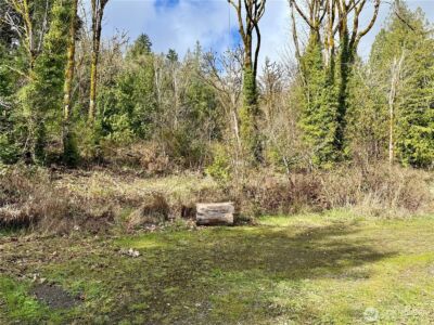 1080 Linger Longer Road , Quilcene, WA 98376 - Photo 25