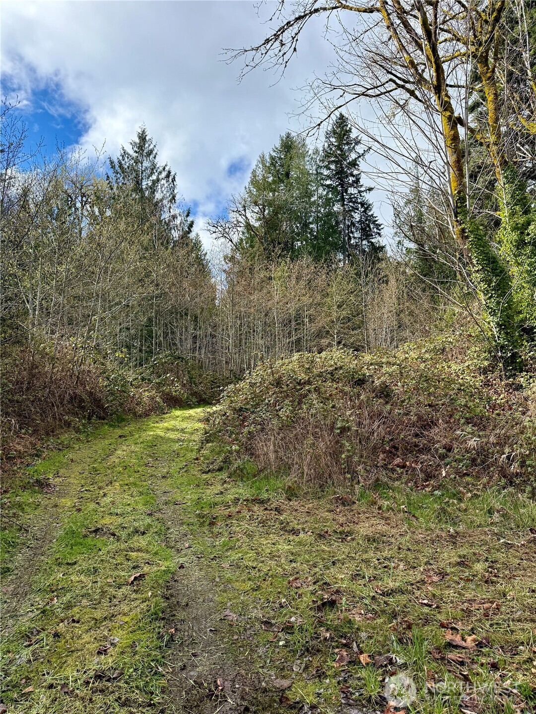 1080 Linger Longer Road , Quilcene, WA 98376