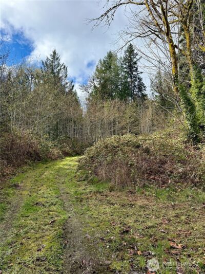 1080 Linger Longer Road , Quilcene, WA 98376 - Photo 27