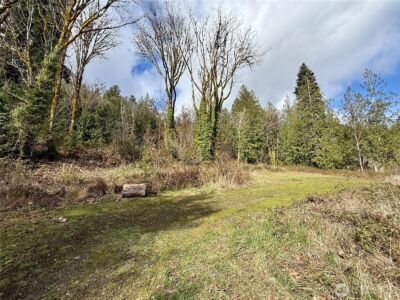 1080 Linger Longer Road , Quilcene, WA 98376 - Photo 28