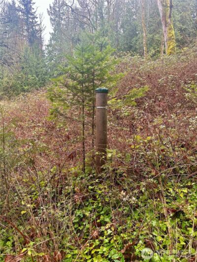 1080 Linger Longer Road , Quilcene, WA 98376 - Photo 29