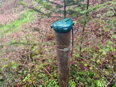 1080 Linger Longer Road , Quilcene, WA 98376 - Photo 30