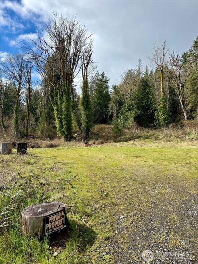 1080 Linger Longer Road , Quilcene, WA 98376 - Photo 5