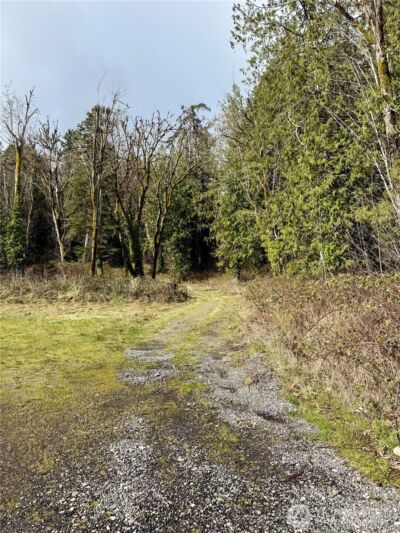 1080 Linger Longer Road , Quilcene, WA 98376 - Photo 6