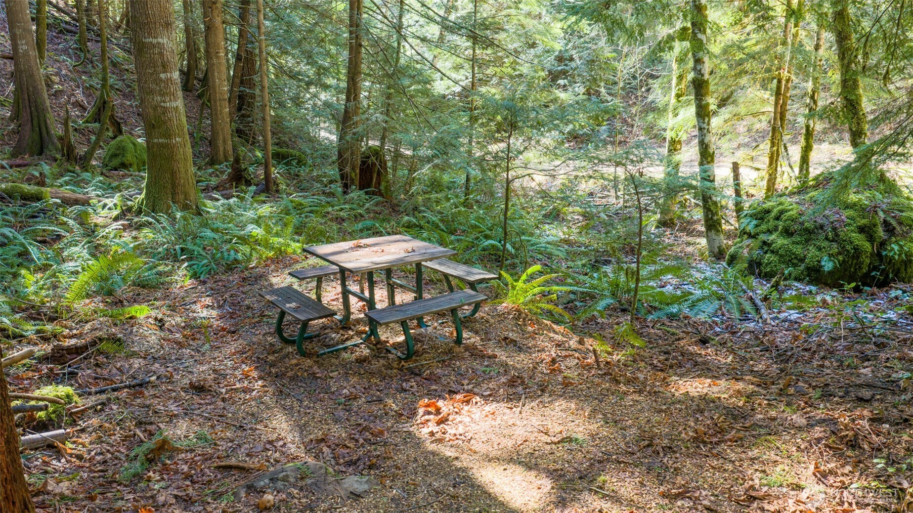 13 Dow Ridge Road , Hoodsport, WA 98548