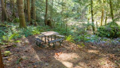 13 Dow Ridge Road , Hoodsport, WA 98548 - Photo 11