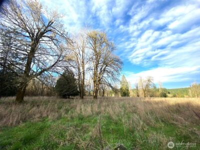 9444 Lundeen Road SW, Rochester, WA 98579 - Photo 36