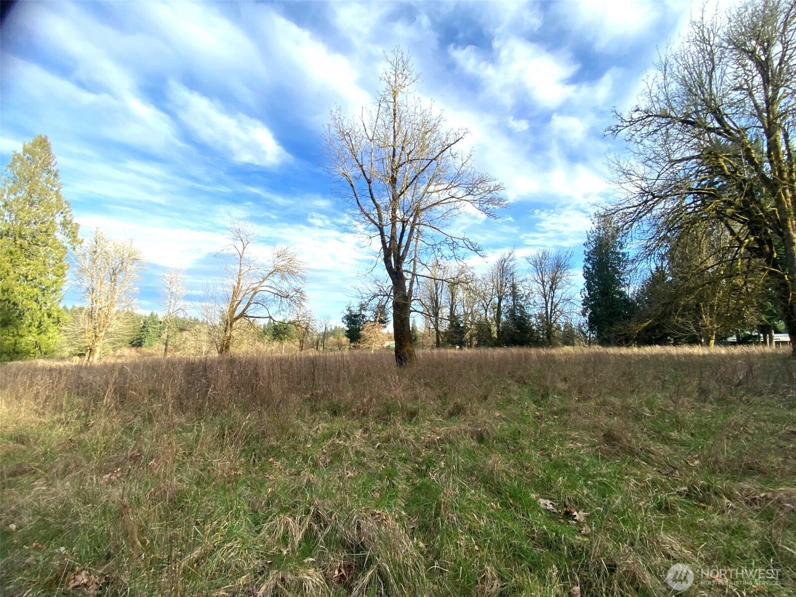 9444 Lundeen Road SW, Rochester, WA 98579