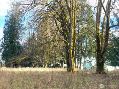 9444 Lundeen Road SW, Rochester, WA 98579 - Photo 38