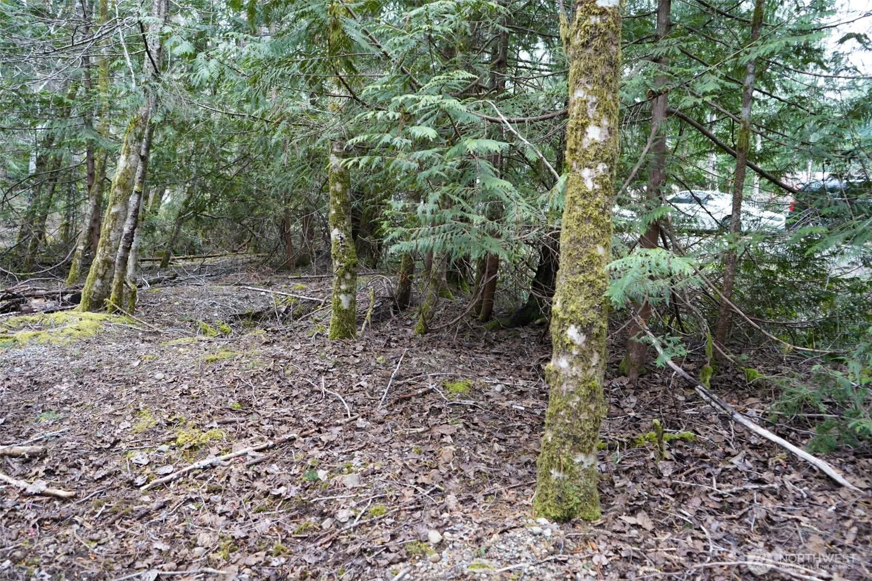 321 E Ballycastle Way , Shelton, WA 98584