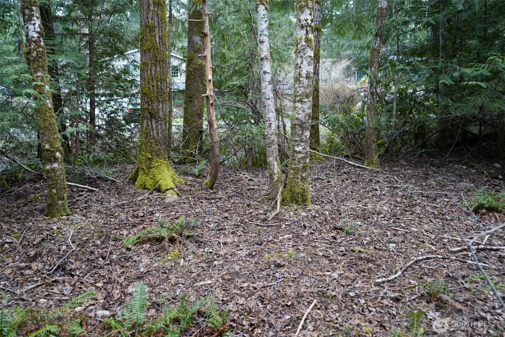 321 E Ballycastle Way , Shelton, WA 98584