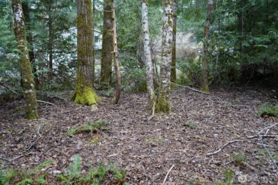 321 E Ballycastle Way , Shelton, WA 98584 - Photo 12