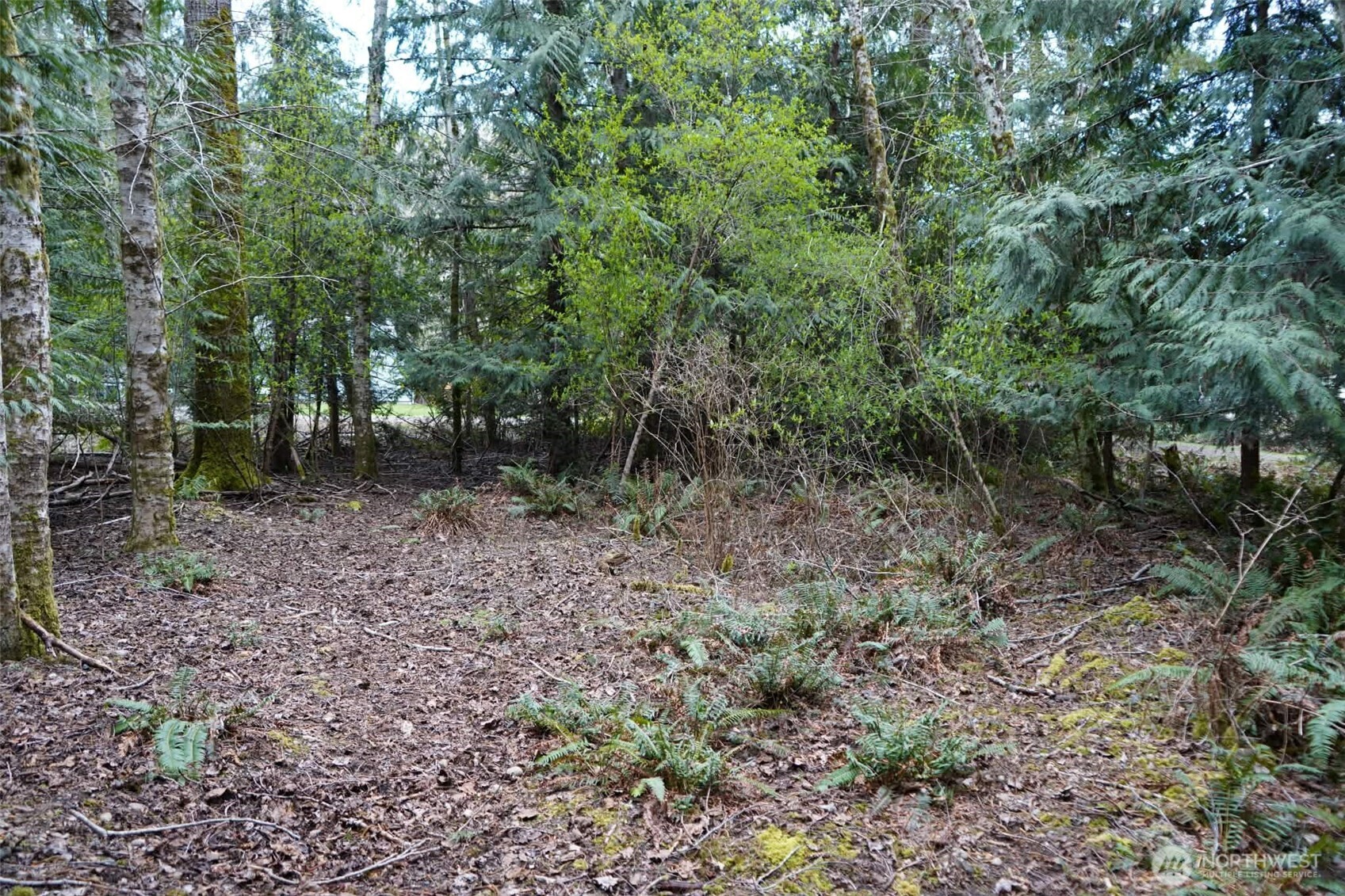 321 E Ballycastle Way , Shelton, WA 98584