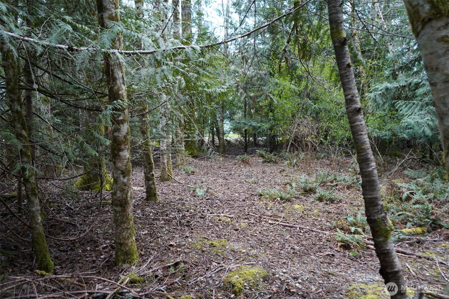 321 E Ballycastle Way , Shelton, WA 98584