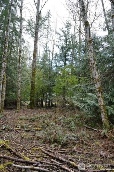 321 E Ballycastle Way , Shelton, WA 98584 - Photo 15