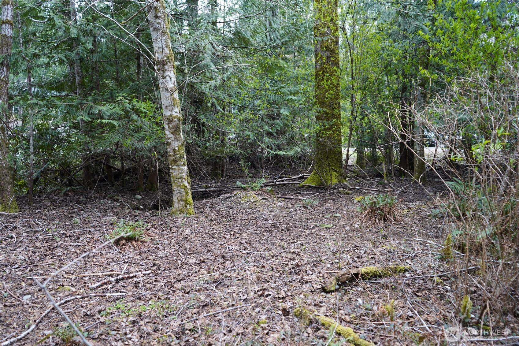 321 E Ballycastle Way , Shelton, WA 98584