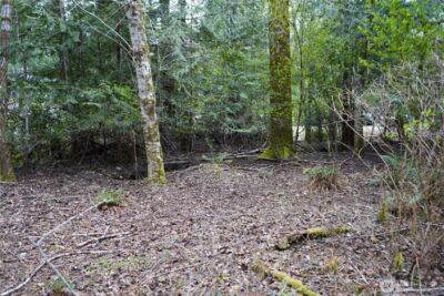 321 E Ballycastle Way , Shelton, WA 98584 - Photo 7