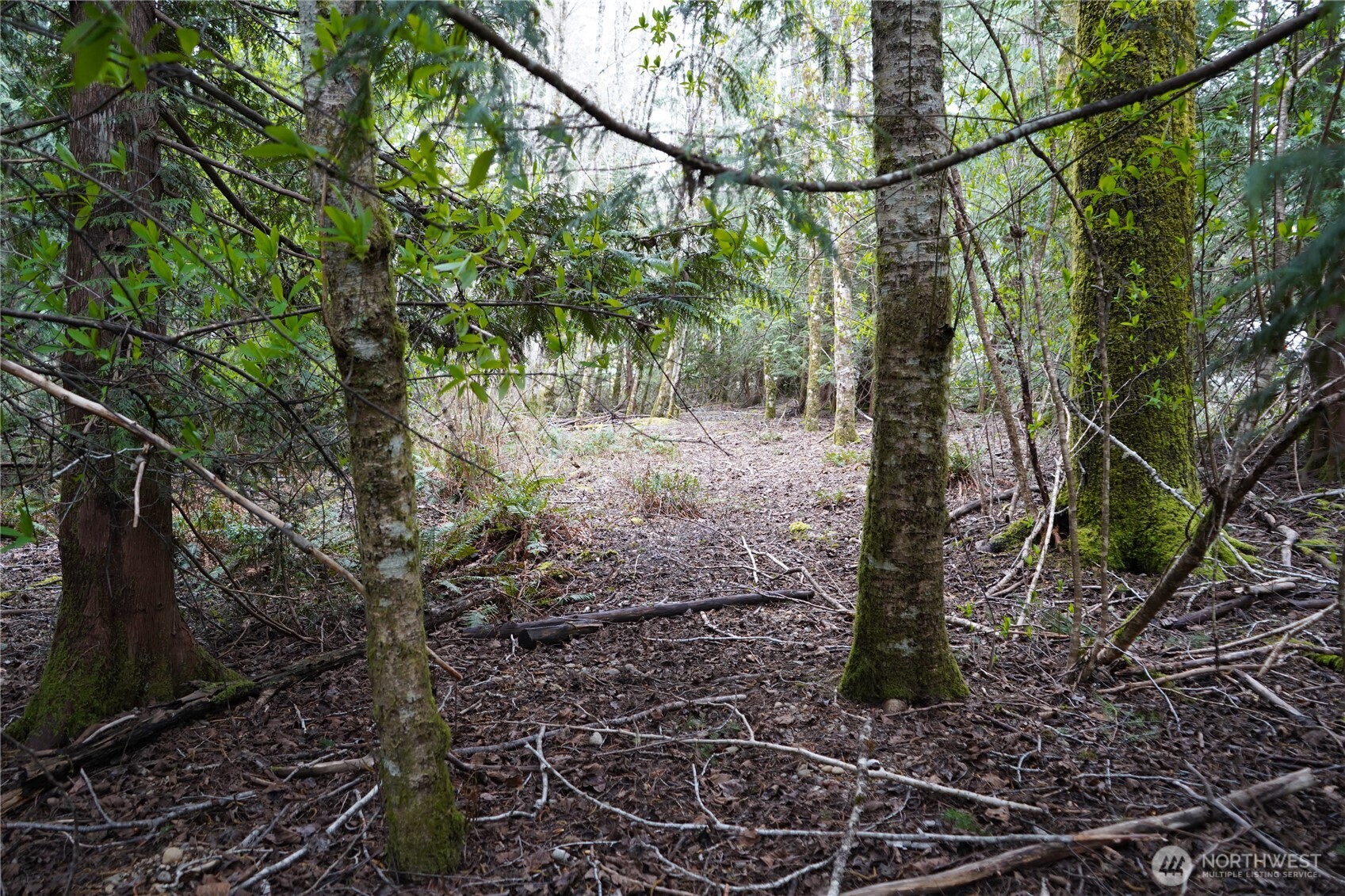 321 E Ballycastle Way , Shelton, WA 98584