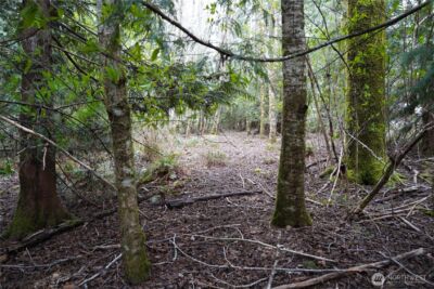 321 E Ballycastle Way , Shelton, WA 98584 - Photo 8