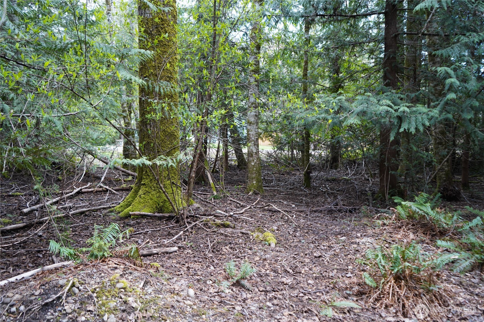 321 E Ballycastle Way , Shelton, WA 98584