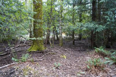 321 E Ballycastle Way , Shelton, WA 98584 - Photo 9