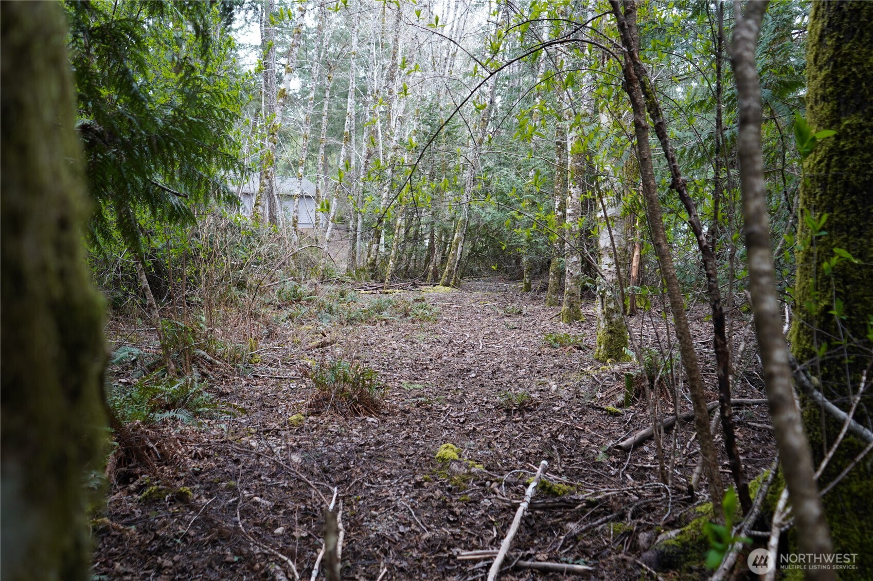 321 E Ballycastle Way , Shelton, WA 98584