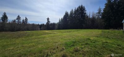 123 Barton Road , Rochester, WA 98579 - Photo 11