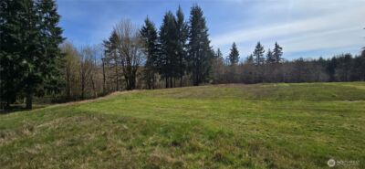 123 Barton Road , Rochester, WA 98579 - Photo 12