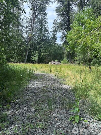 56002 E 317th Avenue E, Ashford, WA 98304