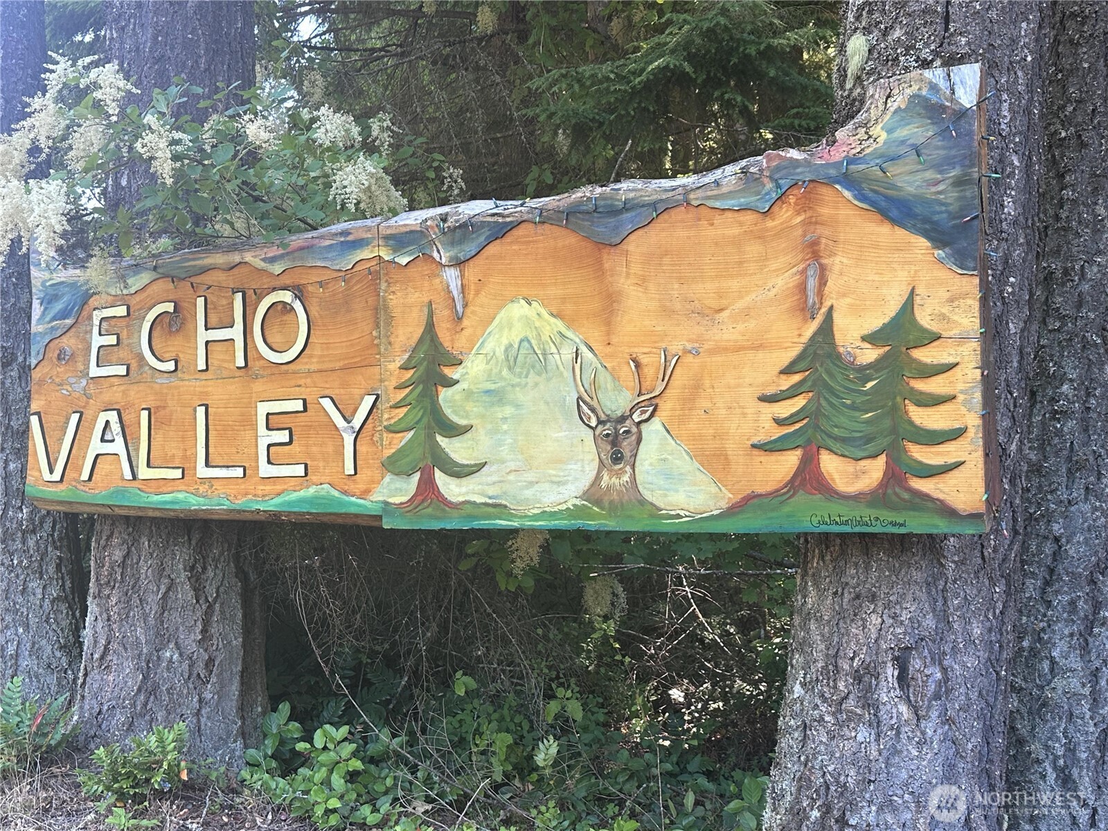 56002 E 317th Avenue E, Ashford, WA 98304