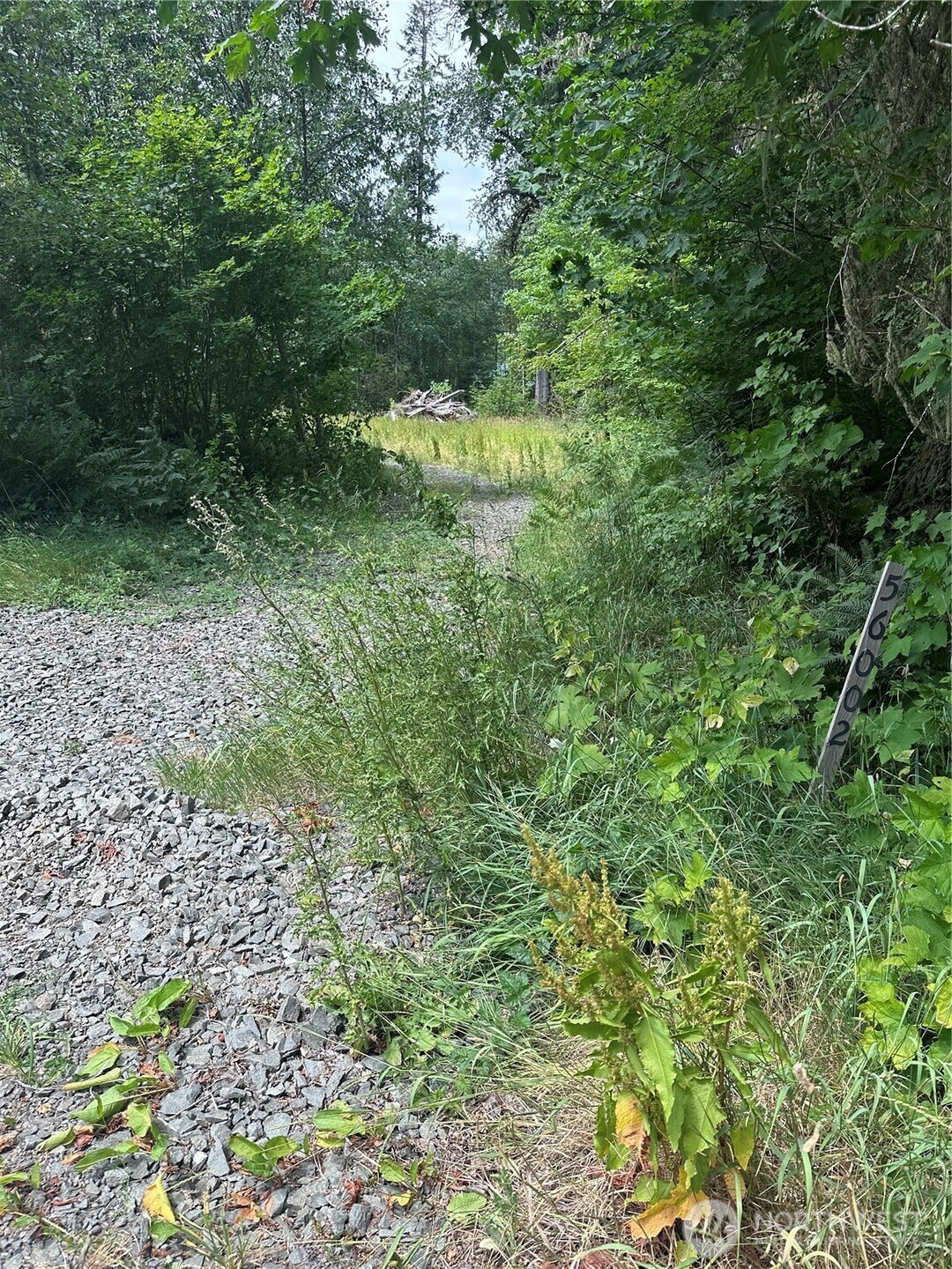 56002 E 317th Avenue E, Ashford, WA 98304