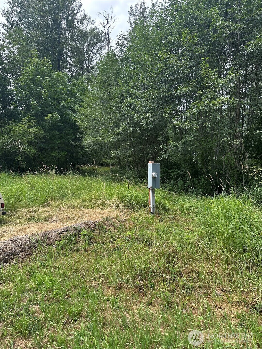 56002 E 317th Avenue E, Ashford, WA 98304