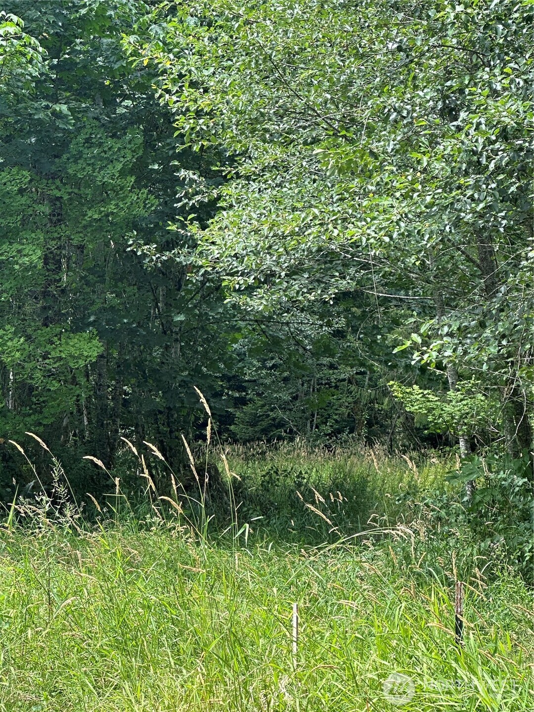 56002 E 317th Avenue E, Ashford, WA 98304