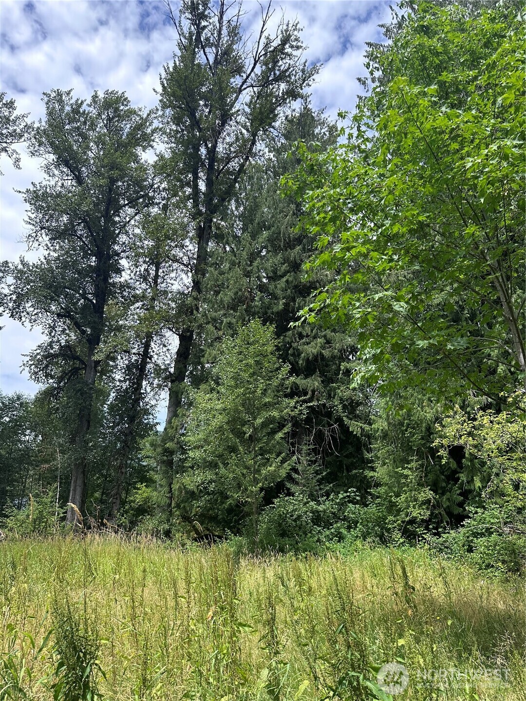 56002 E 317th Avenue E, Ashford, WA 98304