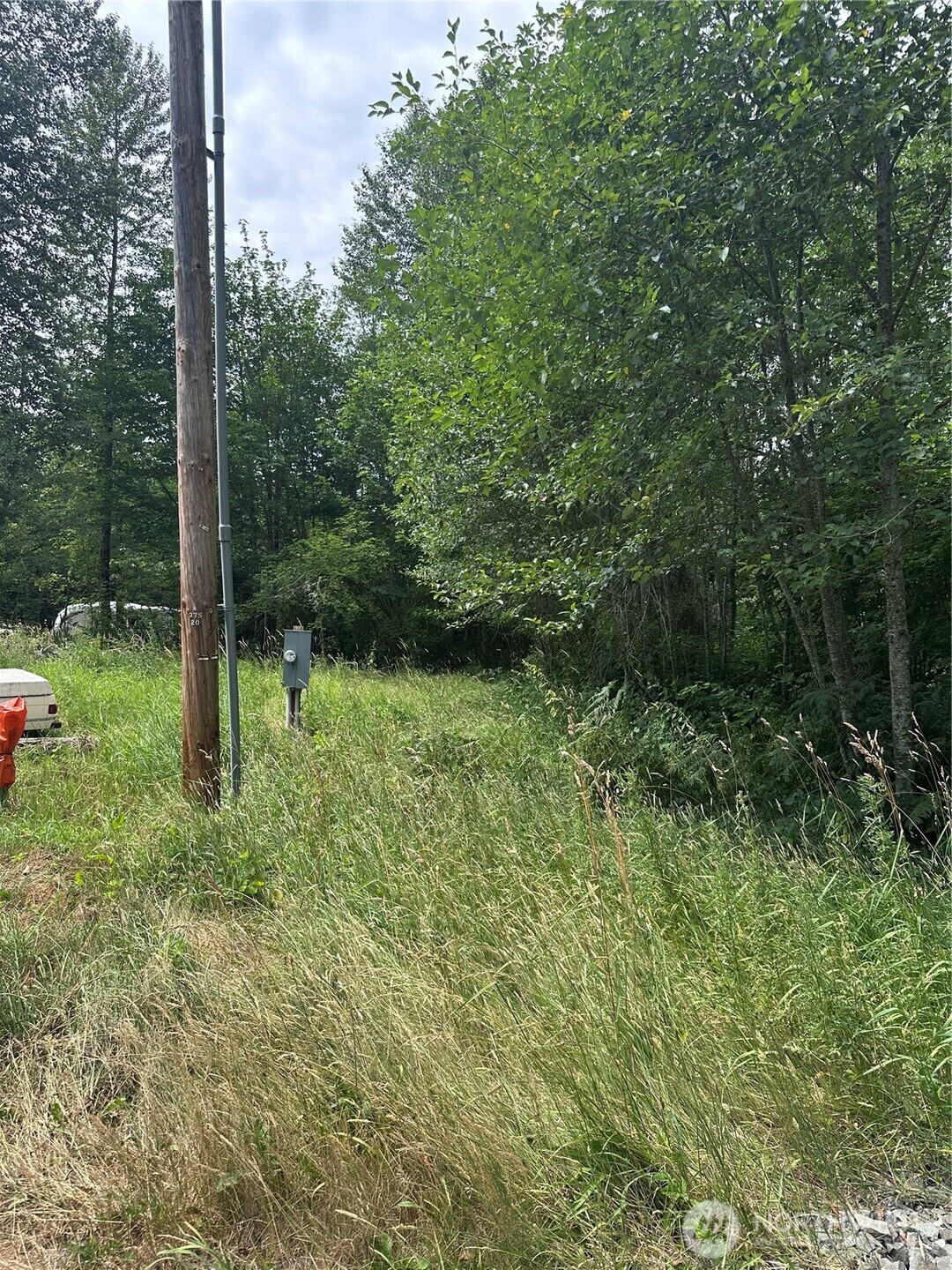 56002 E 317th Avenue E, Ashford, WA 98304