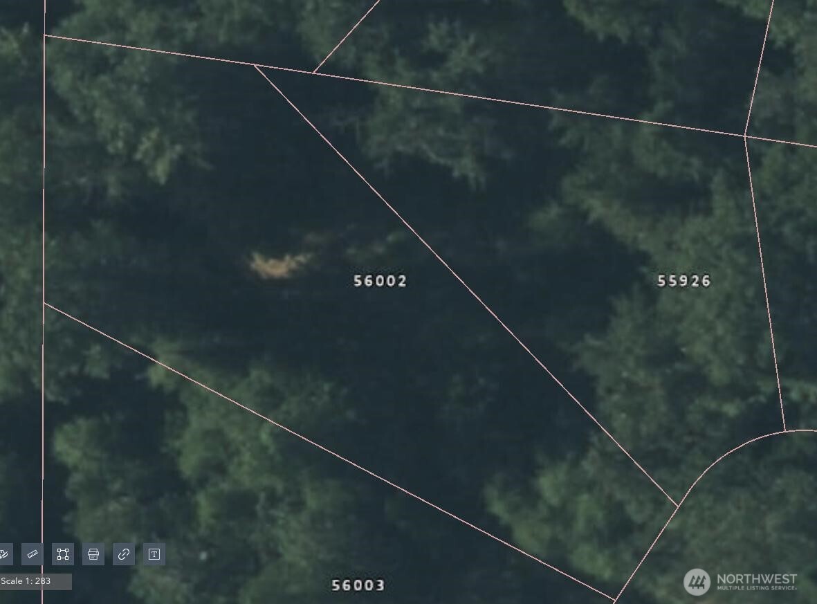 56002 E 317th Avenue E, Ashford, WA 98304