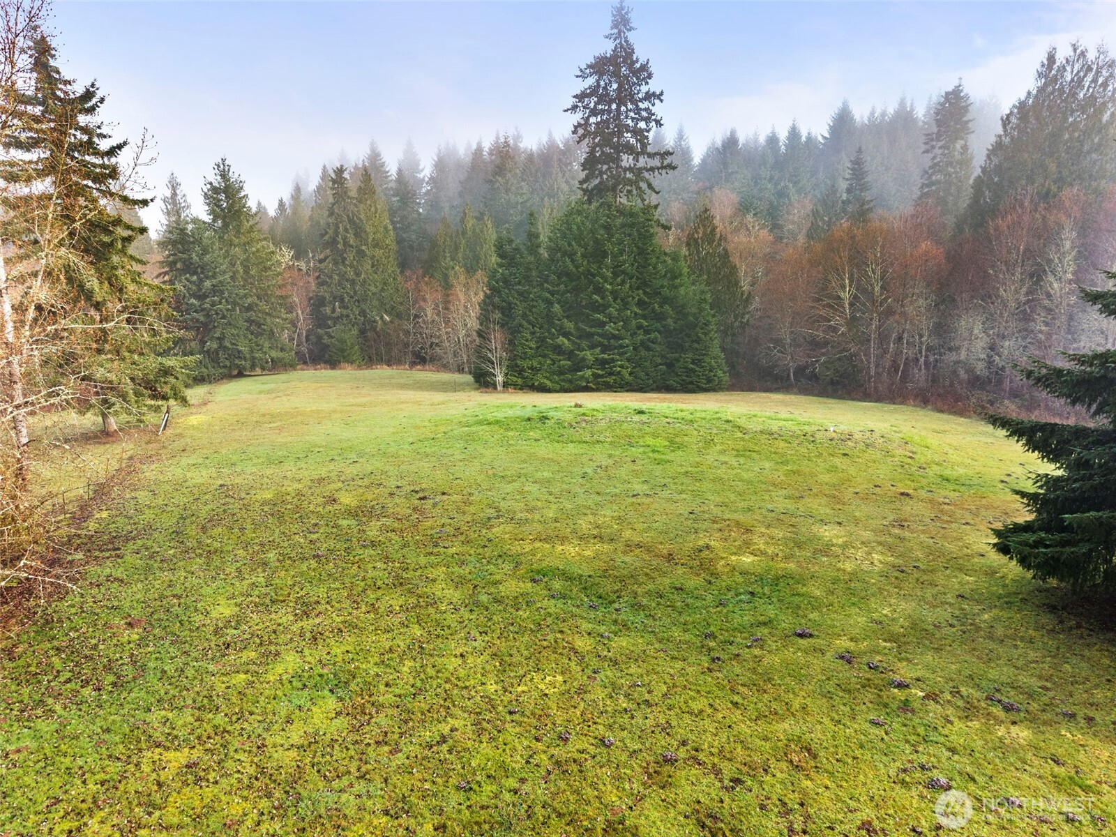 104 Sun Valley Drive , Adna, WA 98532