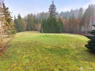 104 Sun Valley Drive , Adna, WA 98532 - Photo 26