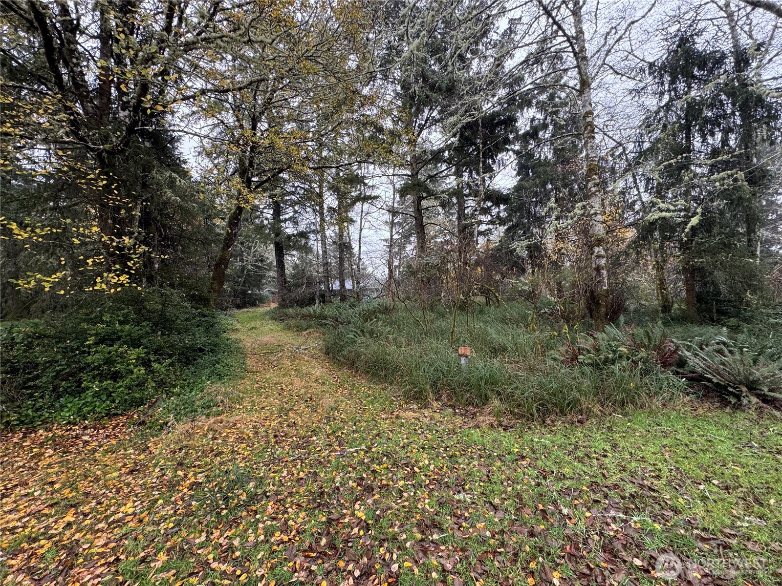 764 Tern Court , Ocean Shores, WA 98569