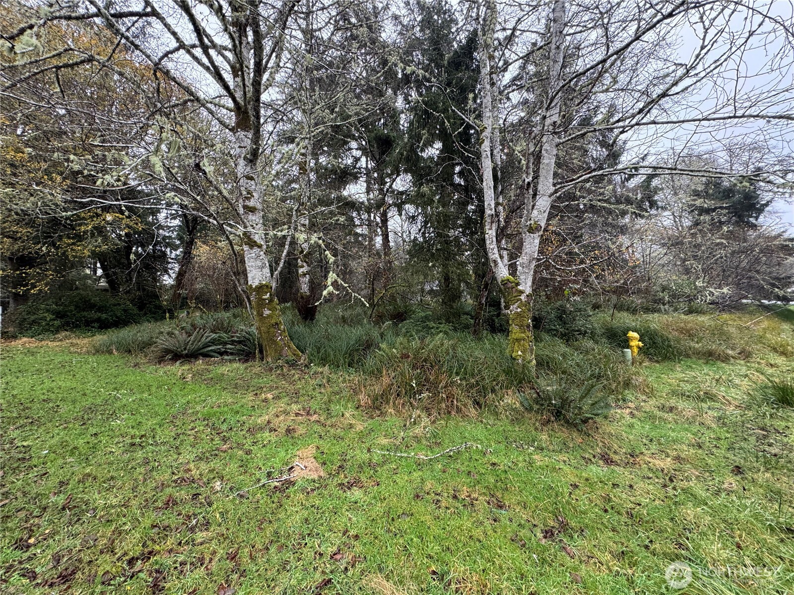 764 Tern Court , Ocean Shores, WA 98569