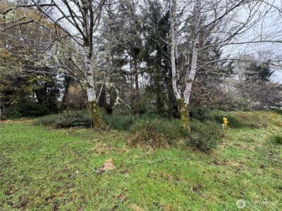 764 Tern Court , Ocean Shores, WA 98569 - Photo 2