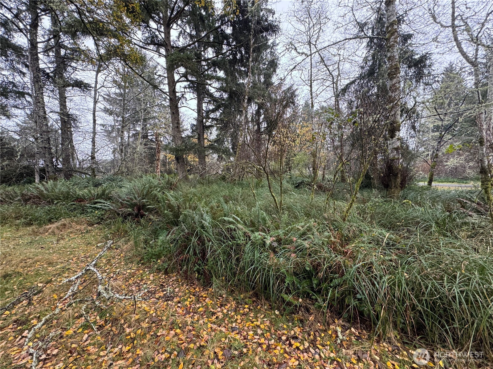 764 Tern Court , Ocean Shores, WA 98569