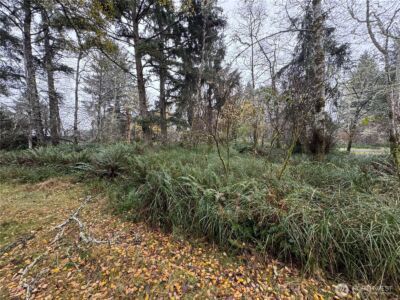 764 Tern Court , Ocean Shores, WA 98569 - Photo 3