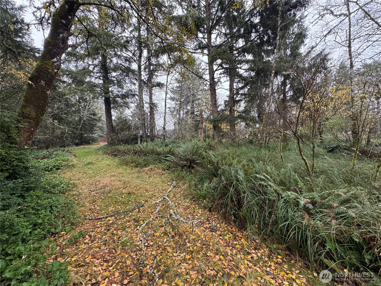 764 Tern Court , Ocean Shores, WA 98569