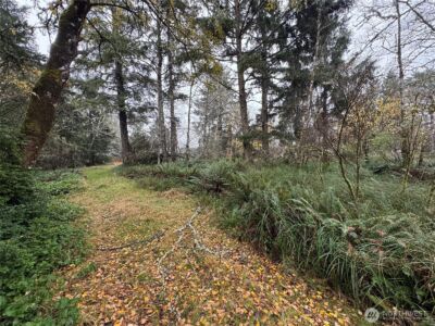 764 Tern Court , Ocean Shores, WA 98569 - Photo 4